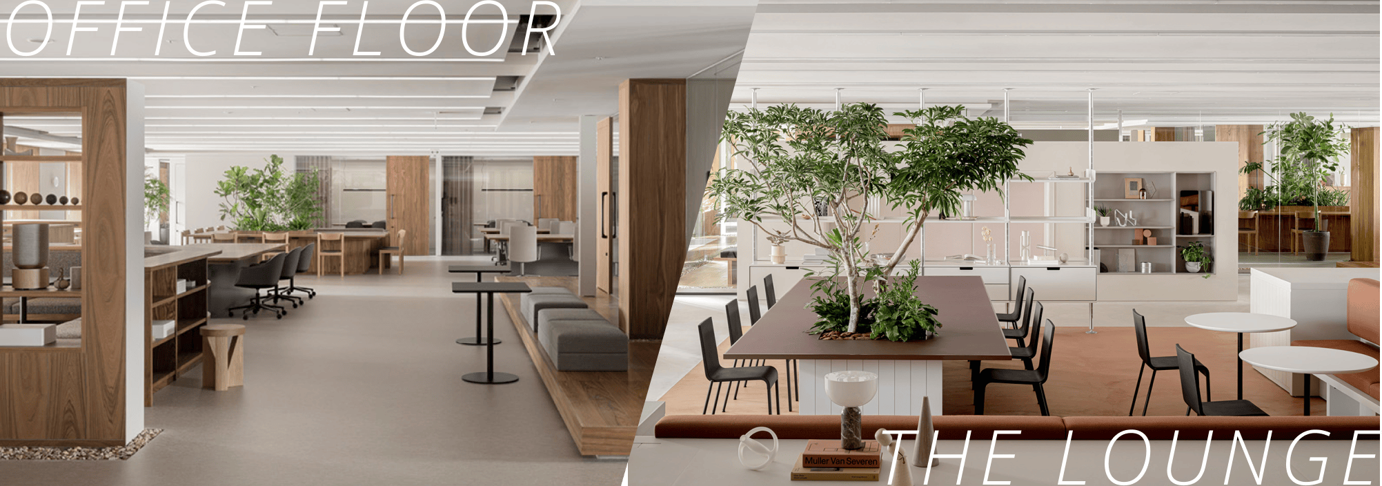 OFFICE FLOOR / THE LOUNGE